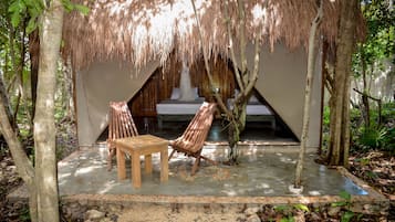 Terras