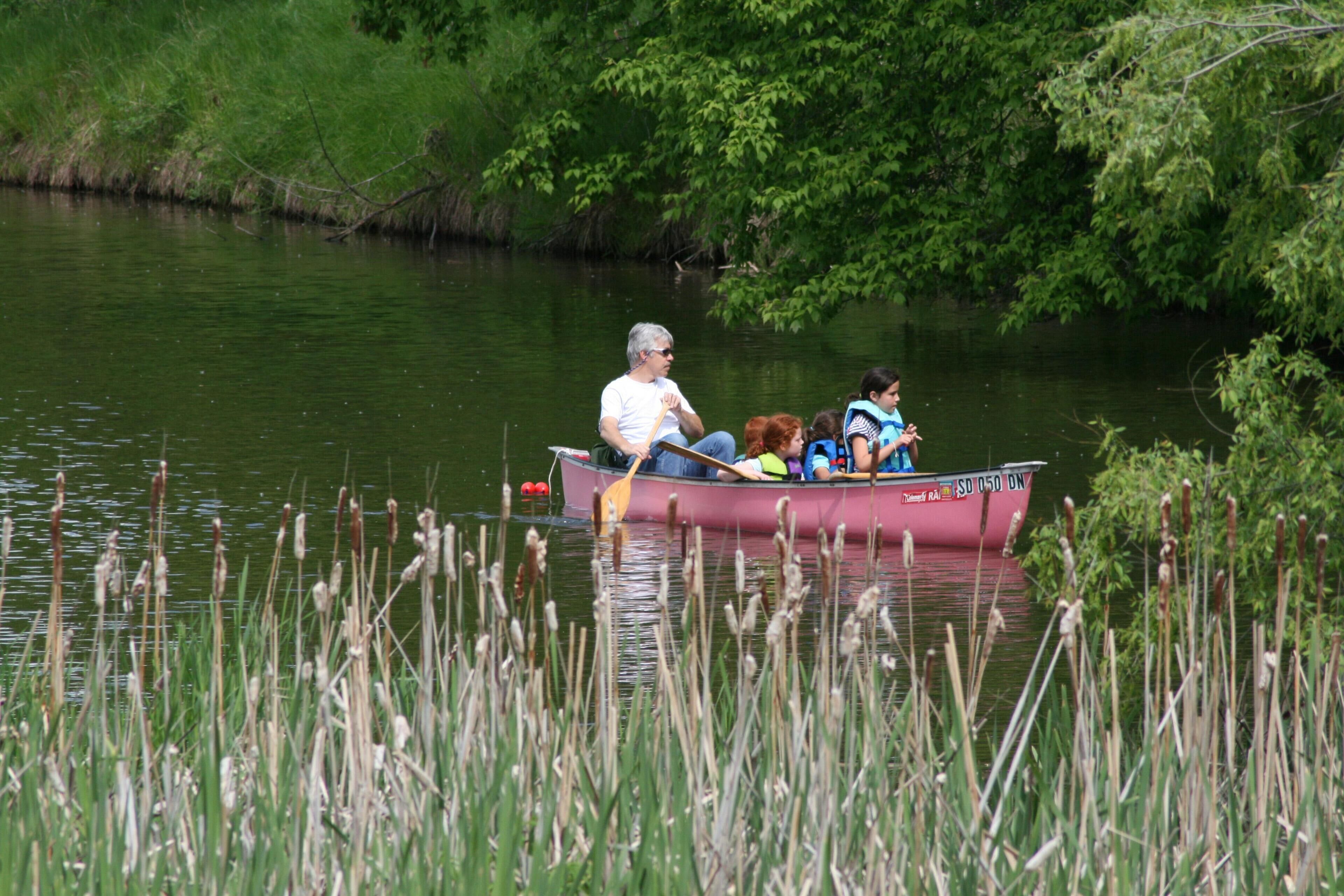 Un bateau transportant des passagers sur une rivière paisible, bordée de verdure.