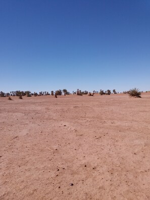 Unclassified image, 3 of 13, button