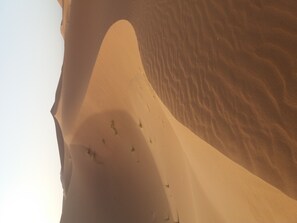 صورة غير مصنفة، 3 من 18، زرّ