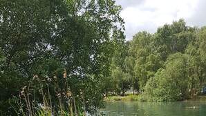 A wooden deck by a lake with dense greenery and trees in the background.