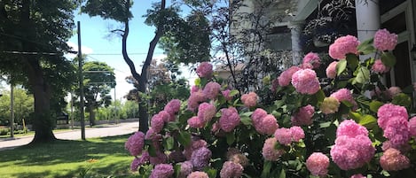 Details aan de buitenkant