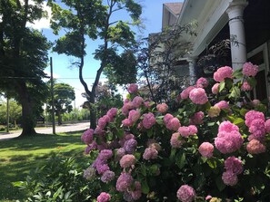 Detalle del exterior