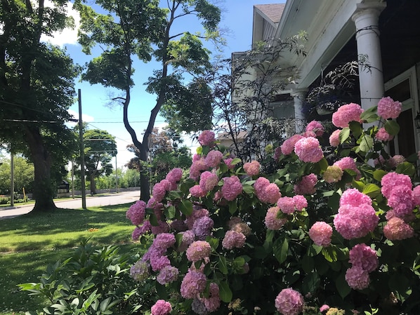 Exterior detail - Niagara Falls . Canada. Vacation Home (Niagara Falls)