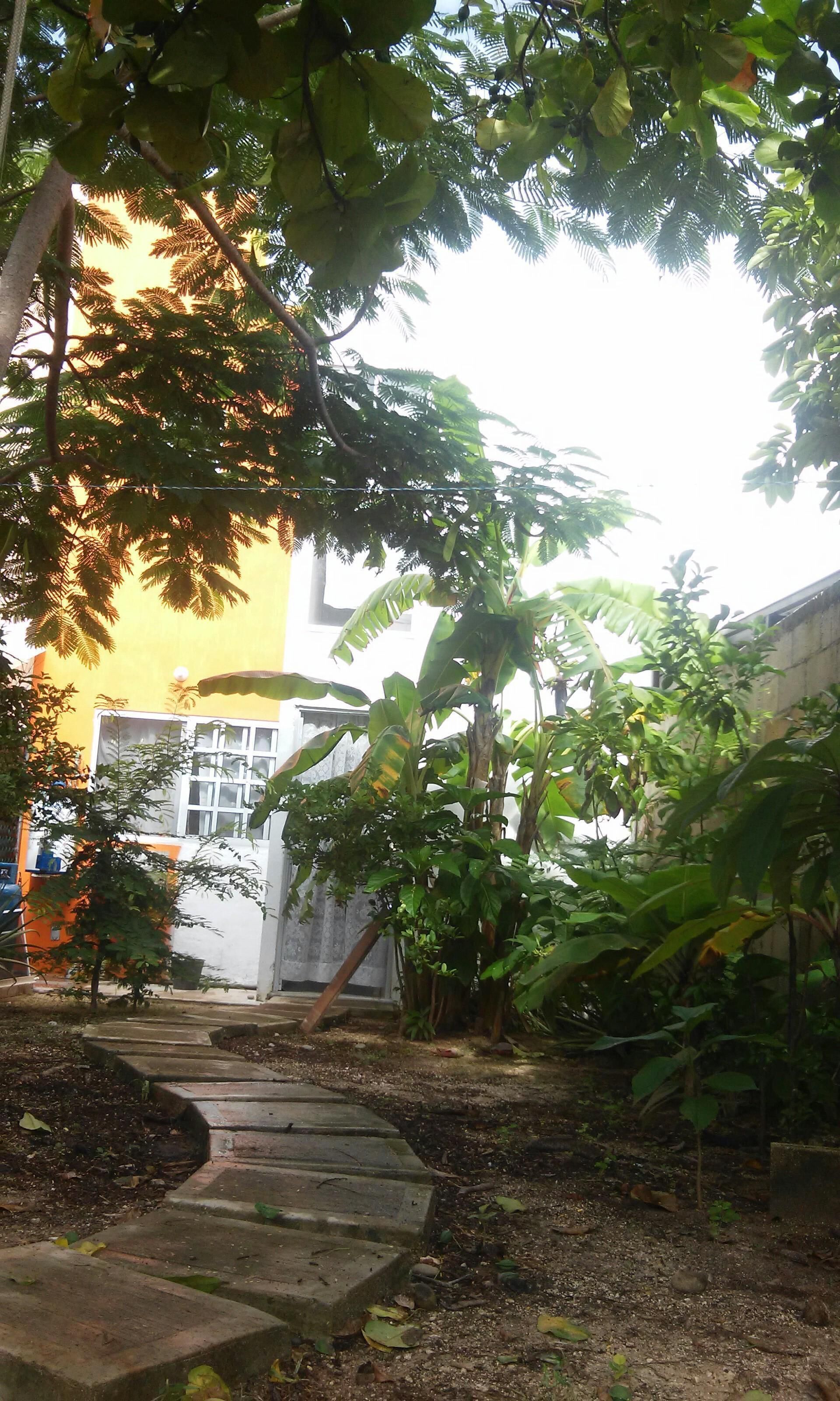 Naturally well-lit spacious, 2 bedroom/ 1 bath	 Sleeps 4