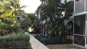 A pathway leading to a building with a covered outdoor area, surrounded by lush tropical plants and a well-maintained lawn.