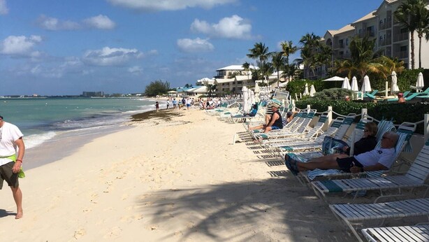A beach with sun loungers and palm trees, a building with balconies, and a clear sky.