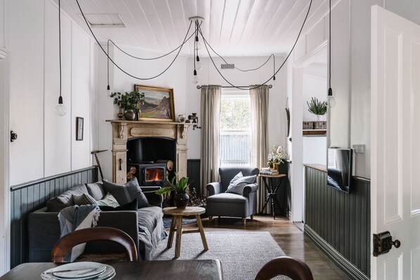 Smart TV, fireplace, DVD player, books