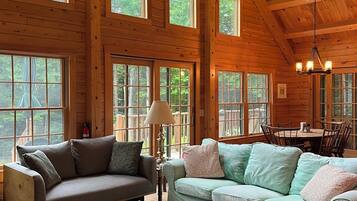 Smart TV, fireplace, DVD player, books