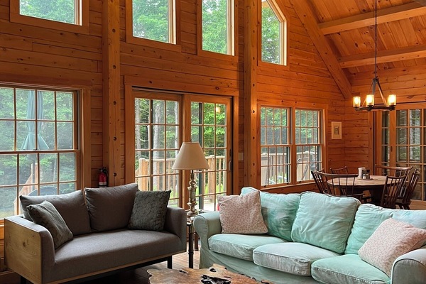 Smart TV, fireplace, DVD player, books