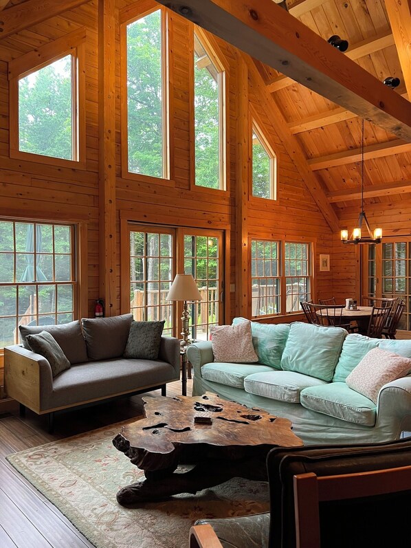 Smart TV, chimenea, reproductor de DVD y libros 