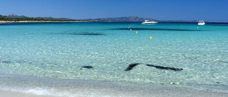 Plage à proximité