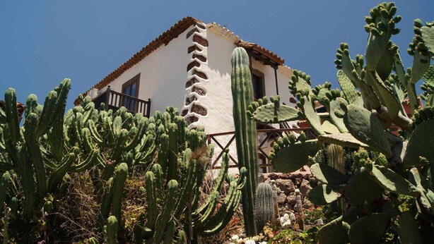 A white building with a tiled roof and a balcony, surrounded by large cacti.