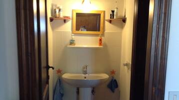 Ein schmales Badezimmer mit einem Standwaschbecken, einem Spiegel darüber und einem Ablagefach mit Toilettenartikeln.