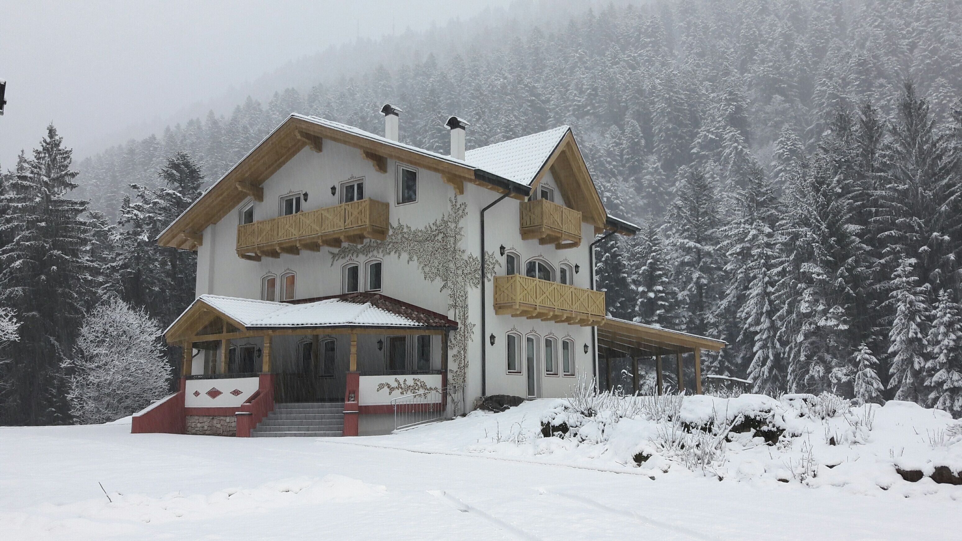 Genzianella Mansarda Molveno - Andalo