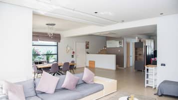 Télévision à écran plat, cheminée, jeux vidéo, lecteur de DVD