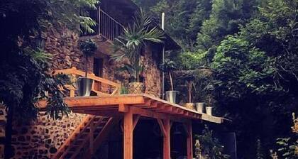 Rural apartment, special for families and pets, river and mountain views.