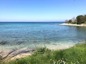 Visão ampla de uma praia com águas calmas, areal arenoso e área gramada com flores silvestres.
