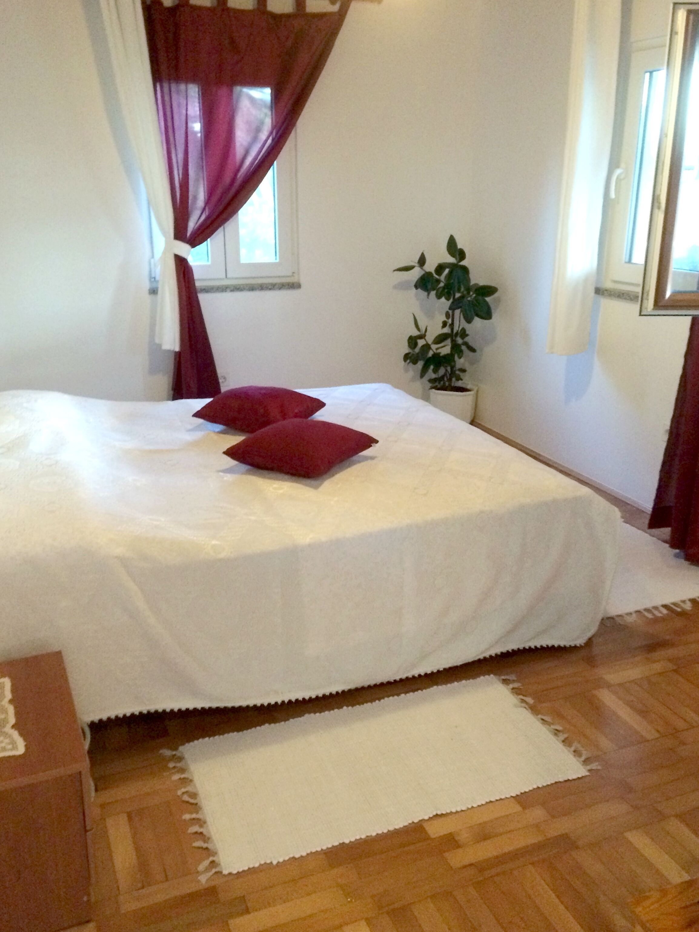 A bedroom with a large bed, red pillows, a white bedspread, a potted plant, and a wooden floor.