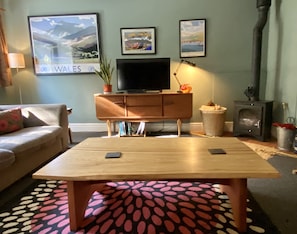 Smart TV, chimenea, reproductor de DVD y libros