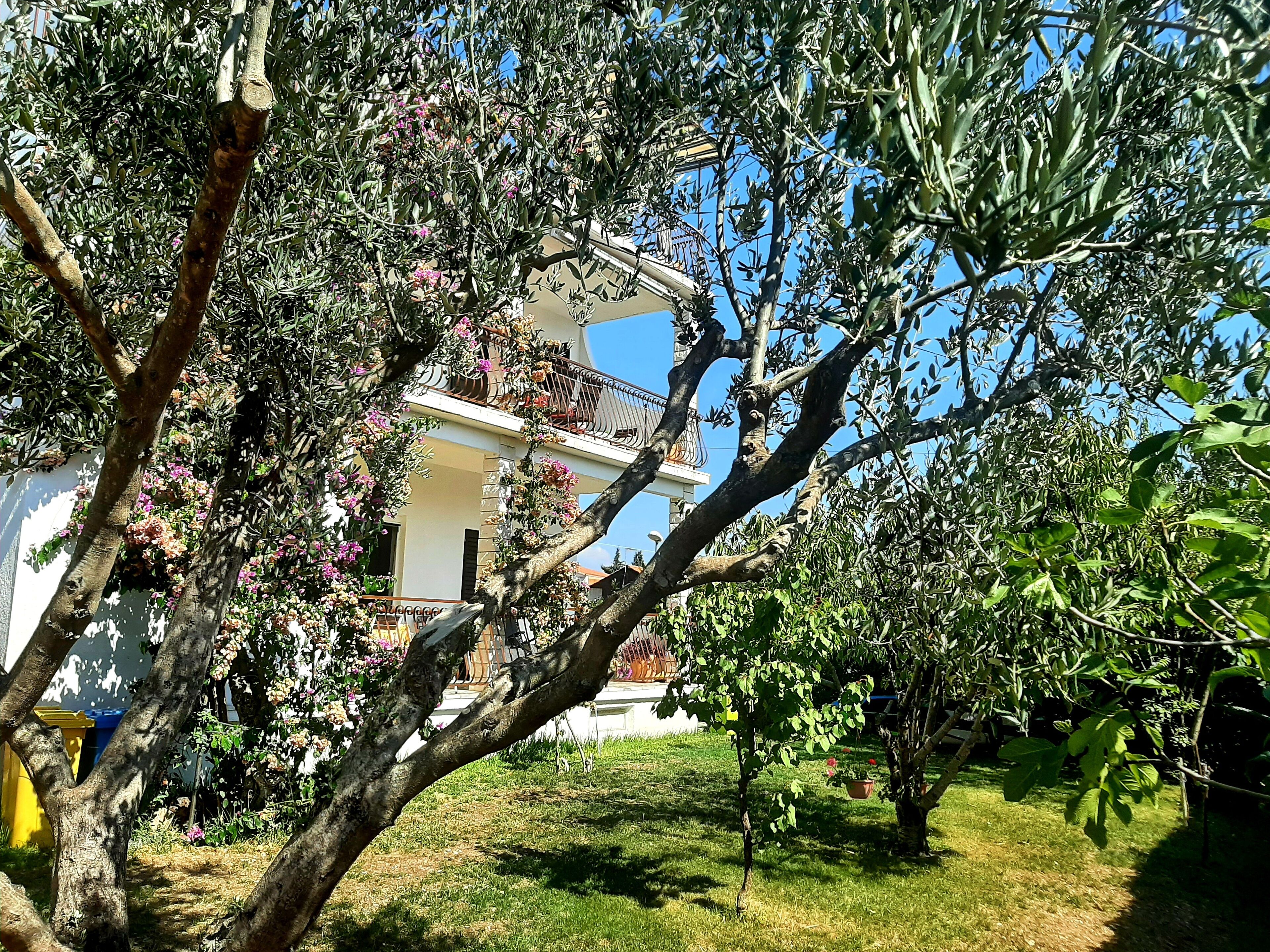 A house with a balcony surrounded by lush greenery and flowering plants.
