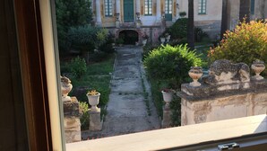 A view through a window of a building with a central entrance, a garden with potted plants, and palm trees.