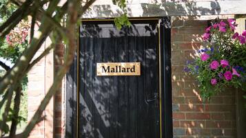 DĂ©tail de lâextĂ©rieur