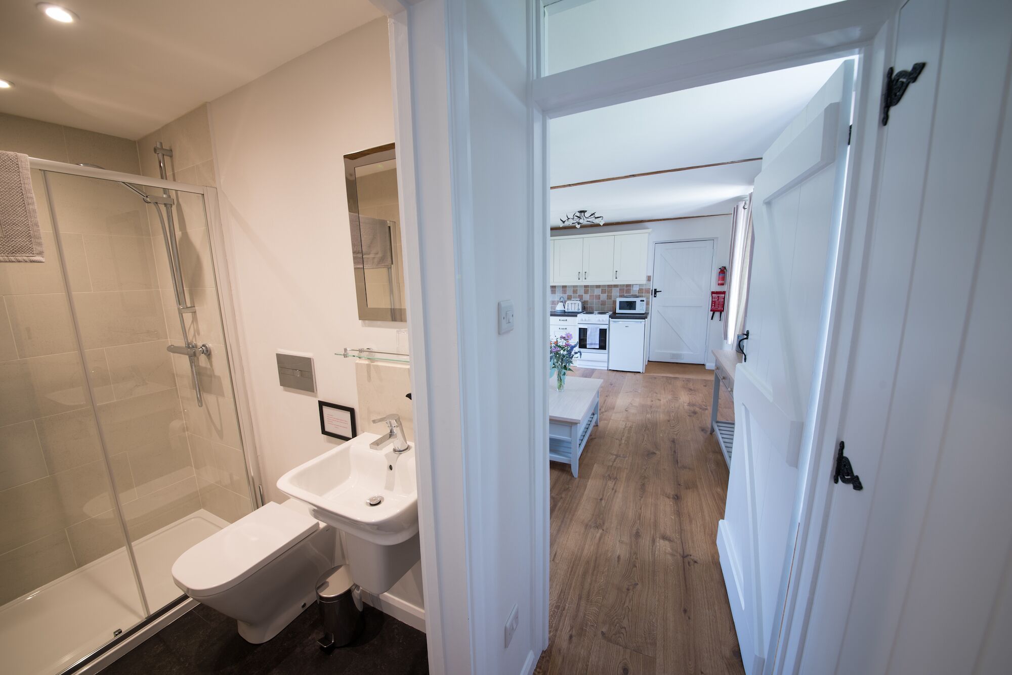 A modern bathroom with a glass shower enclosure, a white sink, and a toilet.