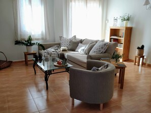 TV, fireplace, DVD player, books