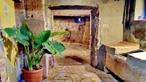 Un estrecho sendero de piedra que conduce a una puerta, con una planta en maceta a la izquierda.