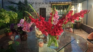 Una mesa de vidrio con varios objetos, incluyendo un jarrón con flores rojas, una vela y pequeños frascos.