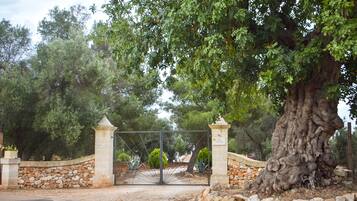 Terrein van de accommodatie