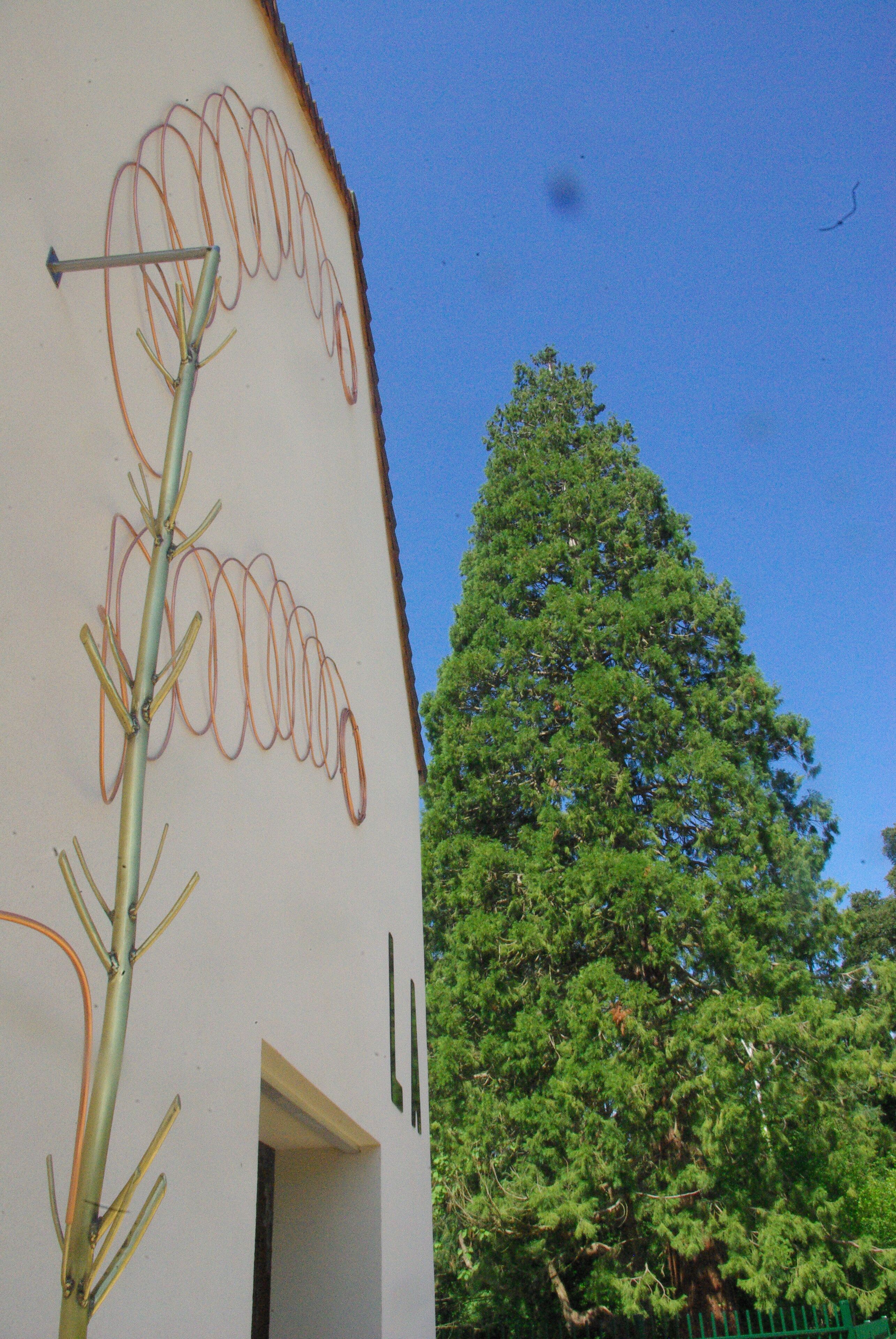 Sleep in nature, in an art center!