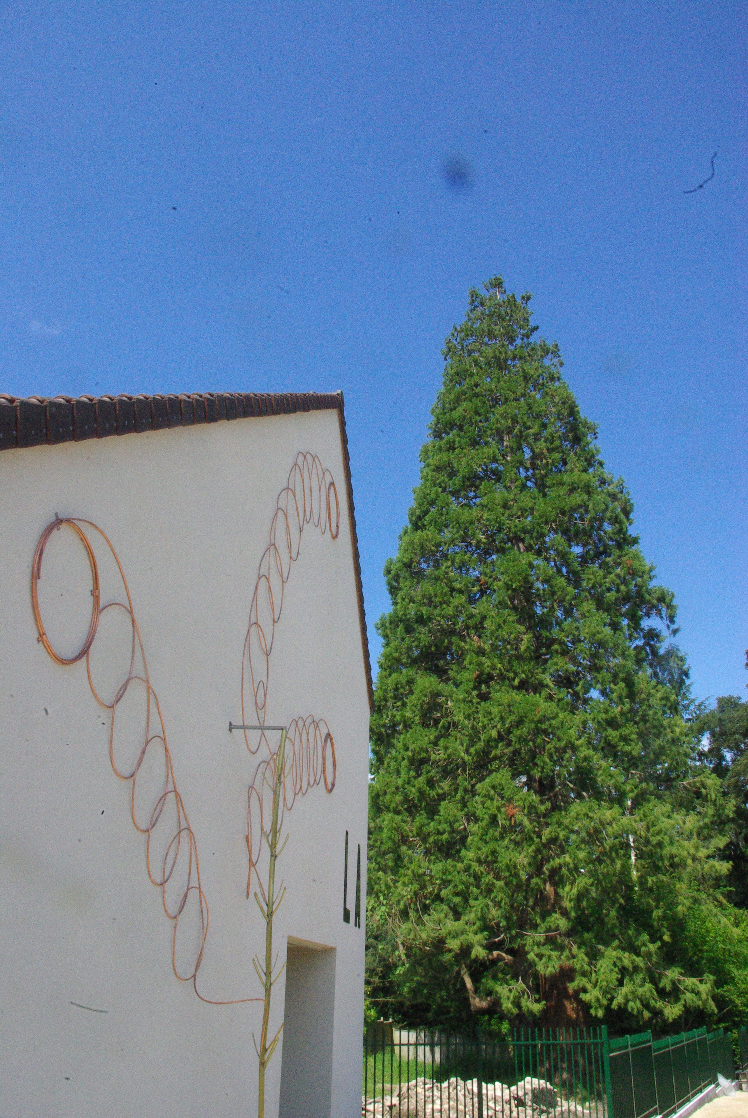 Sleep in nature, in an art center!