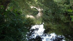 Une rivière paisible, bordée d’une végétation luxuriante, et un pont de pierre.