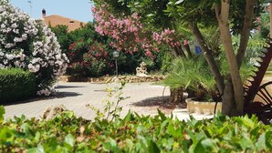 Un jardin avec différentes sortes de plantes et un sentier.