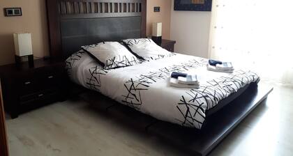 Ylellinen huoneisto keskustassa Logroño