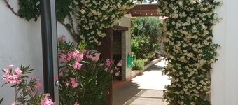 Rural house (full rental) Chasca y Barro for 13 people.