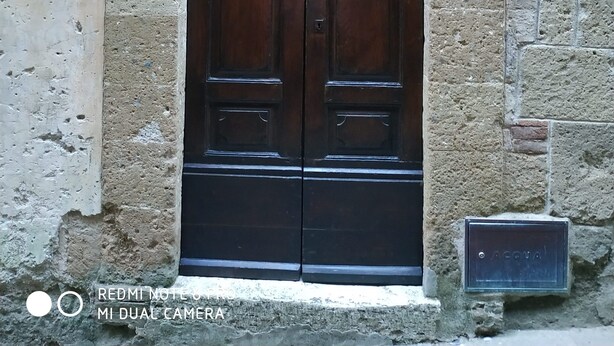 A double wooden door with a stone archway, two potted plants on either side, and a sign above the door.
