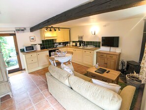 Smart TV, fireplace, DVD player, books