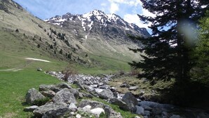 Paisaje montañoso con un arroyo pedregoso, hierba verde y un pico nevado al fondo.