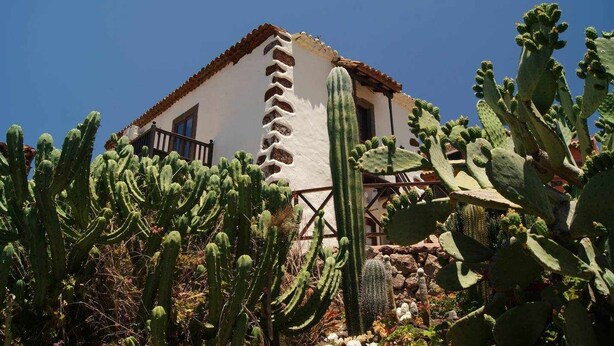 Un edificio con fachada blanca y techo marrón, rodeado de cactus grandes.