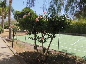 Cancha deportiva