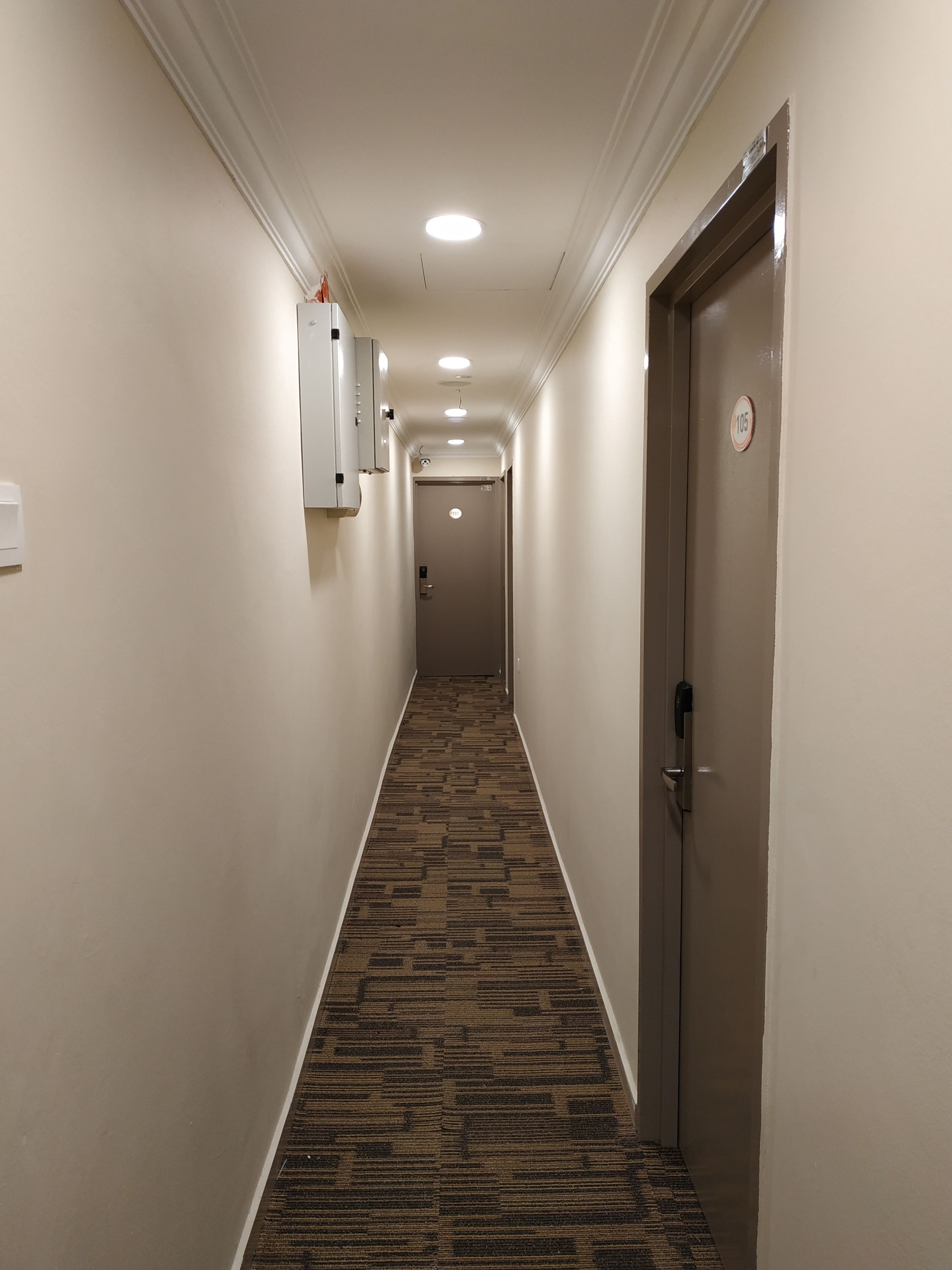 Un pasillo de hotel con piso alfombrado, una puerta con placa de número y un accesorio de iluminación en el techo.