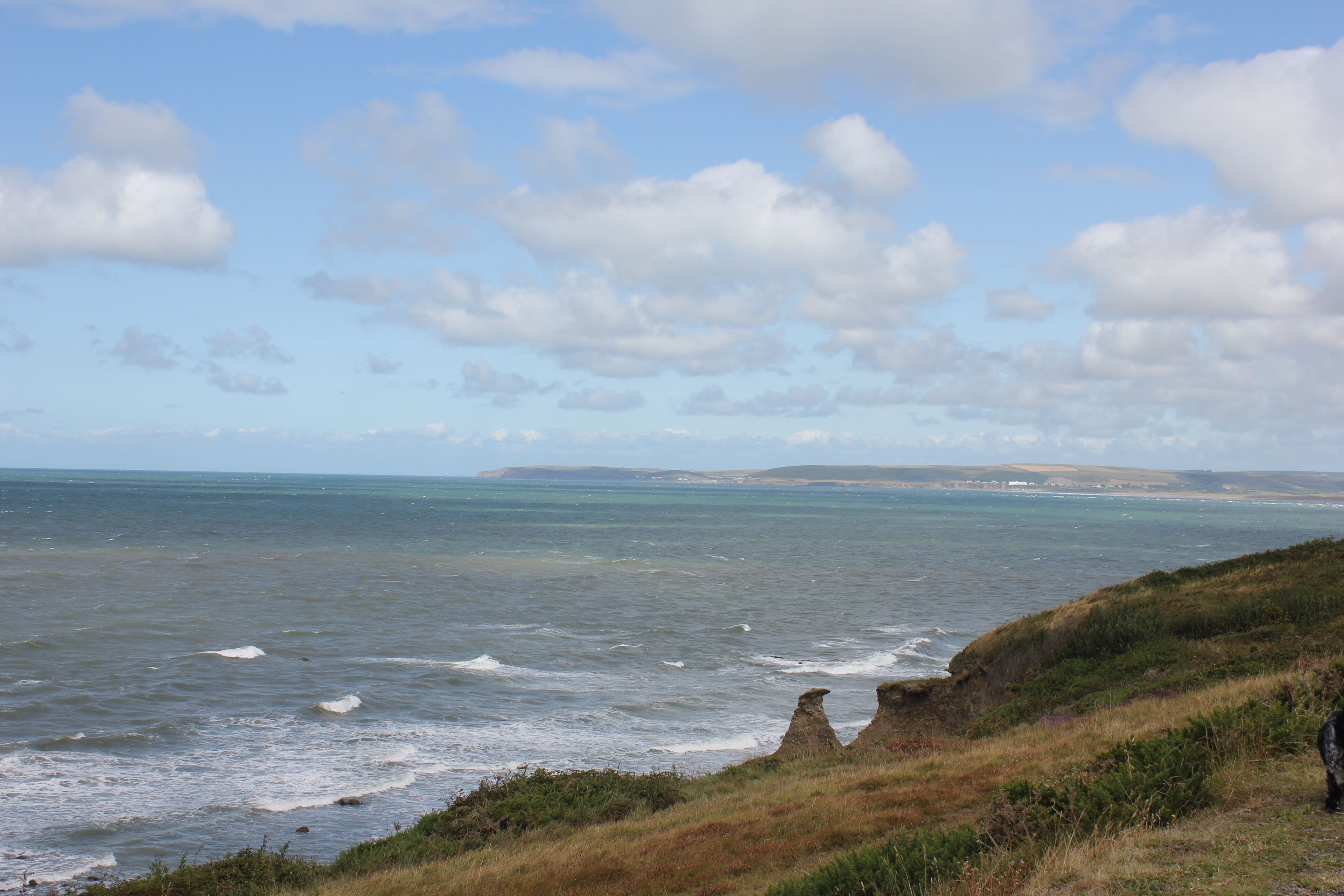 A coastal landscape with a grassy cliff, ocean waves, and a clear sky.