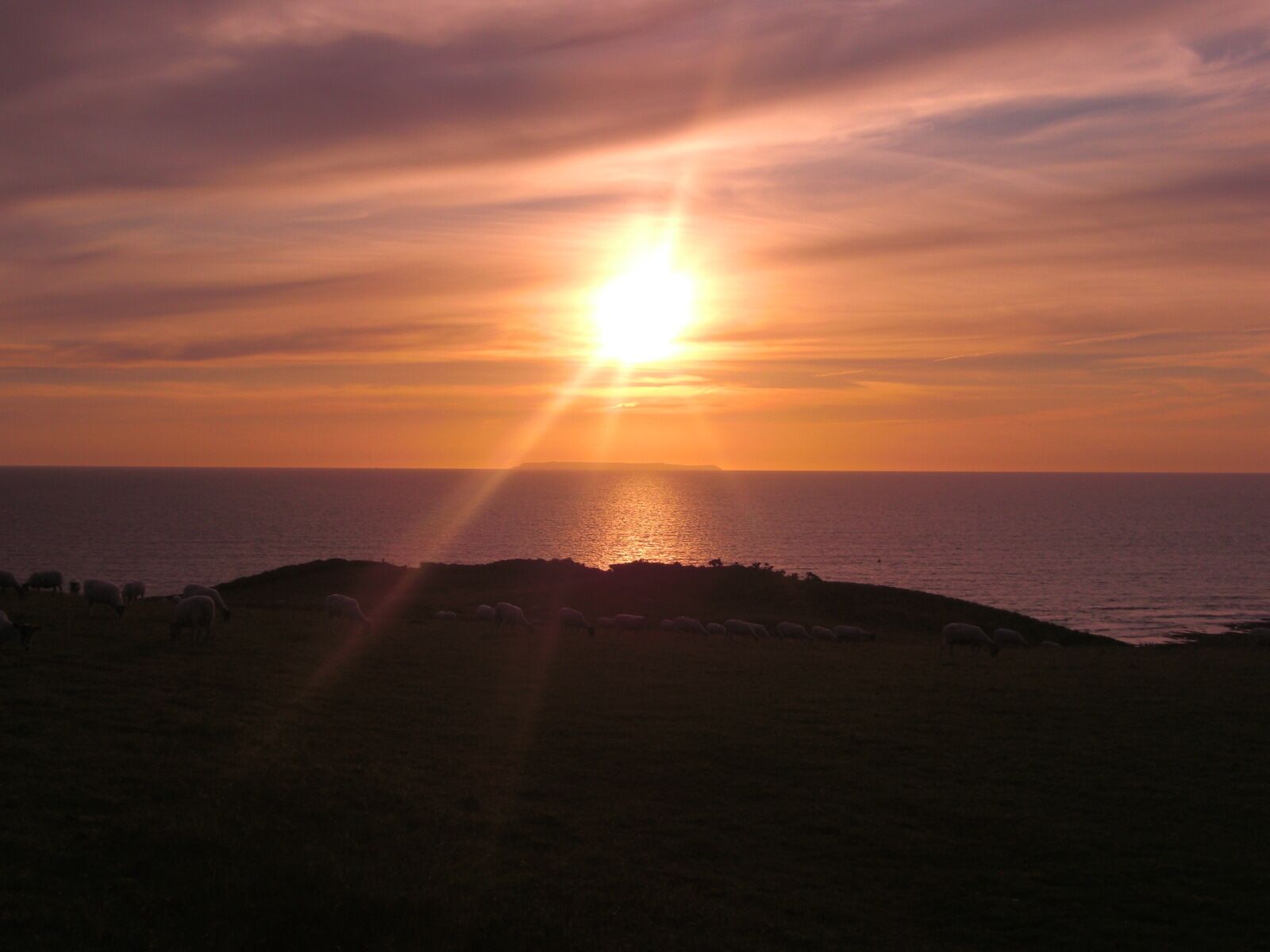 A sunset over a coastal landscape with a grassy area and a body of water.