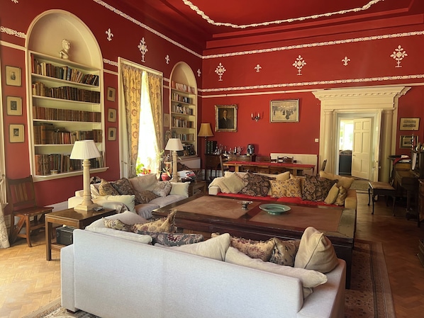 Smart TV, fireplace, books