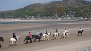 A beach with people riding horses along the shore.