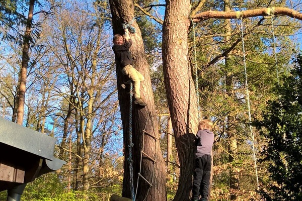Kletterbaum auf dem Grundstück
