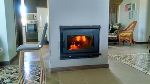 Smart TV, chimenea y libros 